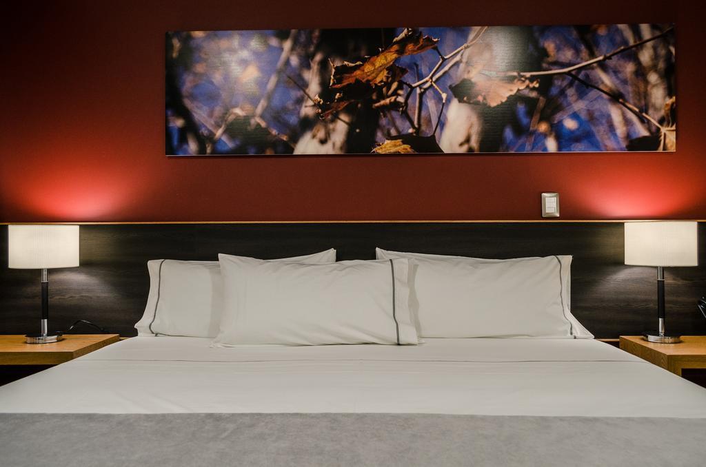 Concept Hotel Zamora de Hidalgo Oda fotoğraf